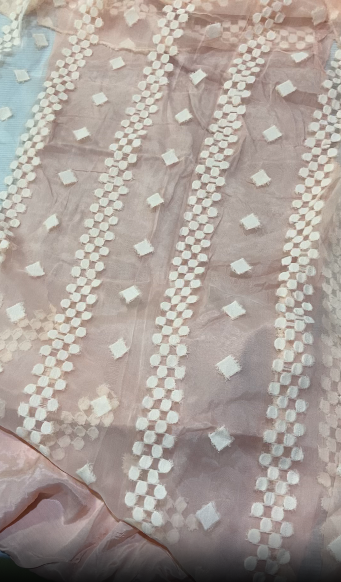 Sana Safinaz Organza Shirt