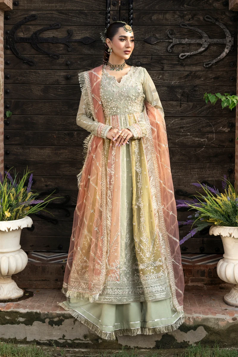 Rang Rasiya Luxury Embroidered (Amil)